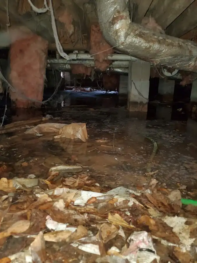 Crawl space flood assessment for Leak Detection & Repair in Essex